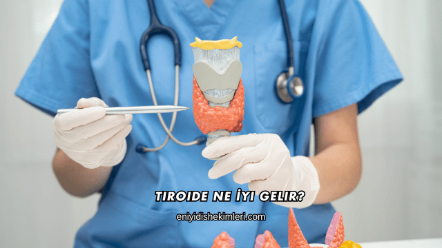 Tiroide Ne İyi Gelir?