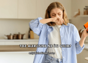 Toz Alerjisine Ne İyi Gelir?
