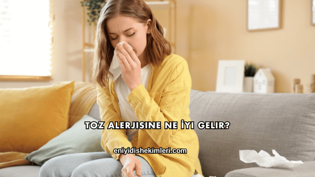 Toz Alerjisine Ne İyi Gelir?