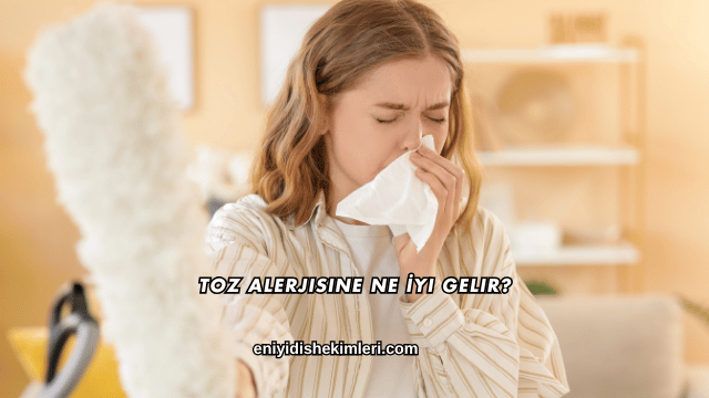 Toz Alerjisine Ne İyi Gelir?