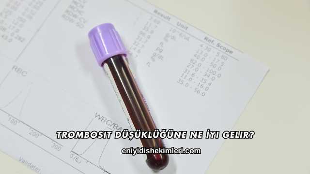 Trombosit Düşüklüğüne Ne İyi Gelir?