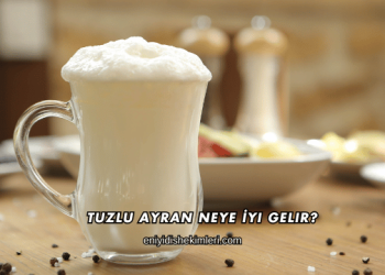 Tuzlu Ayran Neye İyi Gelir?