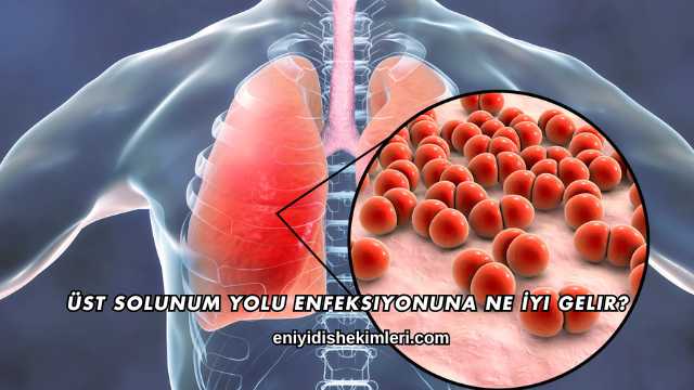 Üst Solunum Yolu Enfeksiyonuna Ne İyi Gelir?