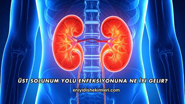 Üst Solunum Yolu Enfeksiyonuna Ne İyi Gelir?