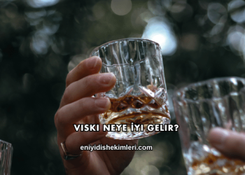 Viski Neye İyi Gelir?