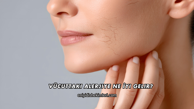 Vücuttaki Alerjiye Ne İyi Gelir?