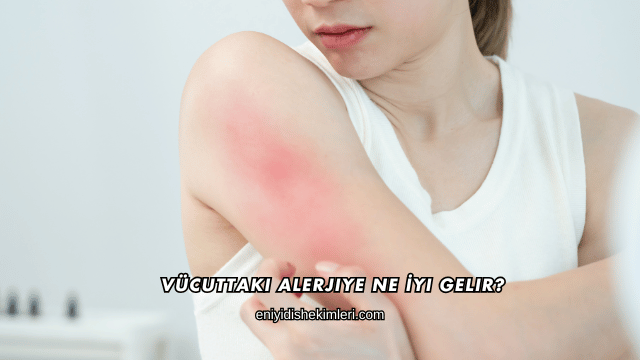 Vücuttaki Alerjiye Ne İyi Gelir?