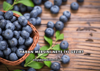 Yaban Mersini Neye İyi Gelir?
