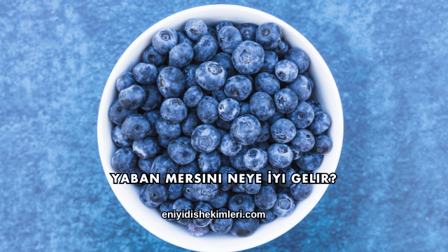 Yaban Mersini Neye İyi Gelir?