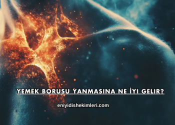 Yemek Borusu Yanmasına Ne İyi Gelir?