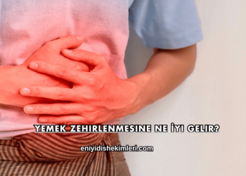 Yemek Zehirlenmesine Ne İyi Gelir?