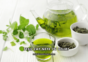 Yeşil Çay Neye İyi Gelir?