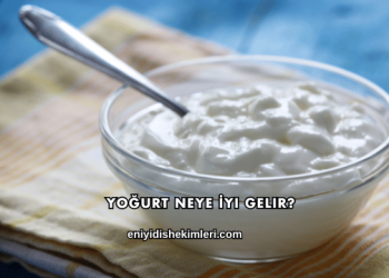 Yoğurt Neye İyi Gelir?