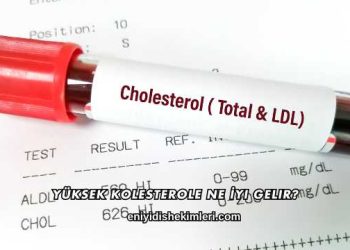 Yüksek Kolesterole Ne İyi Gelir?