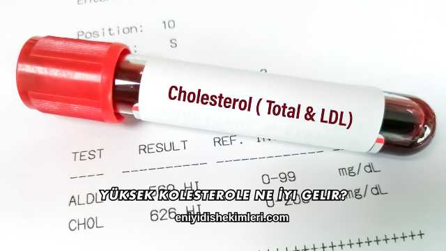 Yüksek Kolesterole Ne İyi Gelir?