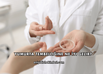 Yumurta Tembelliğine Ne İyi Gelir?