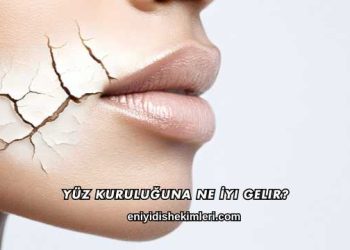 Yüz Kuruluğuna Ne İyi Gelir?