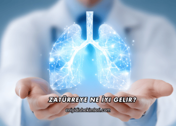 Zatürreye Ne İyi Gelir?