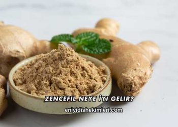 Zencefil Neye İyi Gelir?
