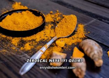 Zerdeçal Neye İyi Gelir?