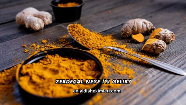 Zerdeçal Neye İyi Gelir?