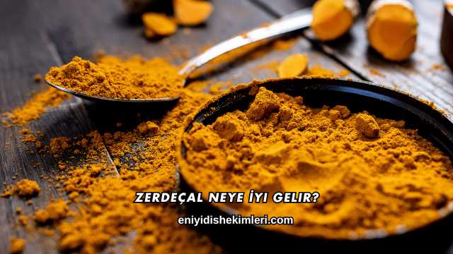 Zerdeçal Neye İyi Gelir?