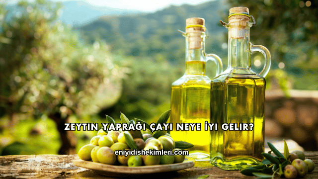 Zeytin Yaprağı Çayı Neye İyi Gelir?