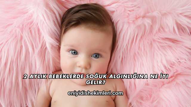 2 Aylık Bebeklerde Soğuk Algınlığına Ne İyi Gelir?