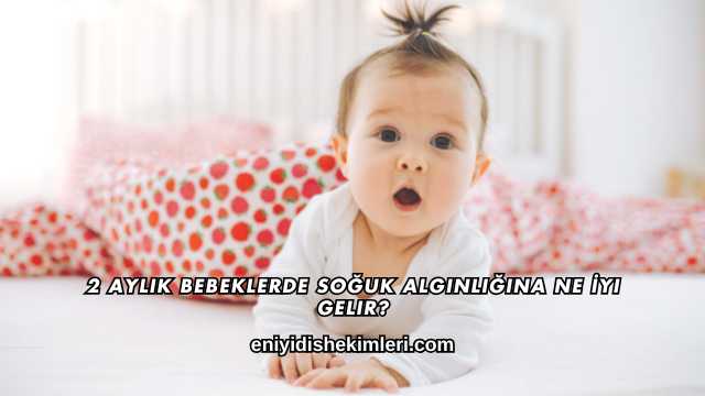 2 Aylık Bebeklerde Soğuk Algınlığına Ne İyi Gelir?