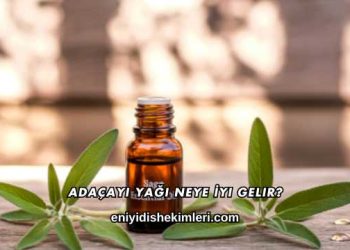 Adaçayı Yağı Neye İyi Gelir?