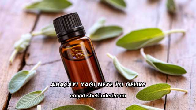 Adaçayı Yağı Neye İyi Gelir?