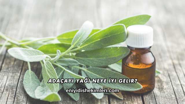 Adaçayı Yağı Neye İyi Gelir?