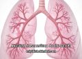 Akciğer Hastalığına Ne İyi Gelir?