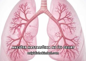 Akciğer Hastalığına Ne İyi Gelir?