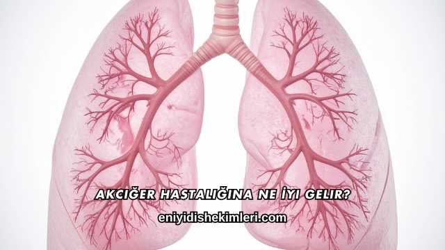 Akciğer Hastalığına Ne İyi Gelir?