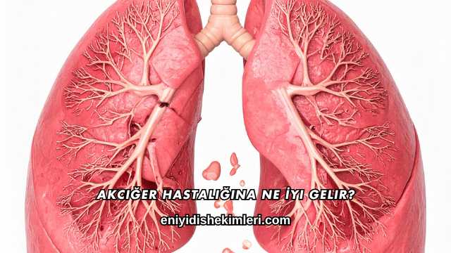 Akciğer Hastalığına Ne İyi Gelir?