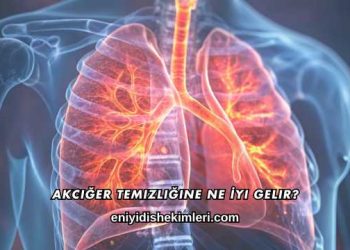 Akciğer Temizliğine Ne İyi Gelir?