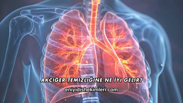 Akciğer Temizliğine Ne İyi Gelir?