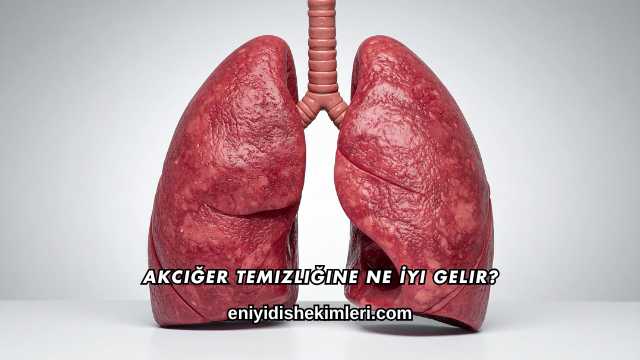 Akciğer Temizliğine Ne İyi Gelir?