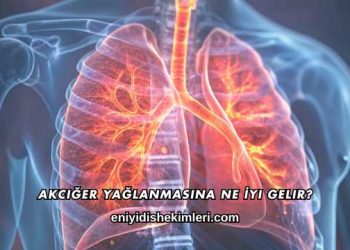 Akciğer Yağlanmasına Ne İyi Gelir?