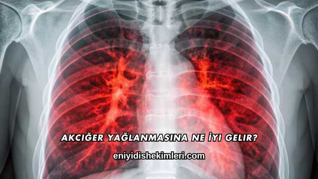 Akciğer Yağlanmasına Ne İyi Gelir?
