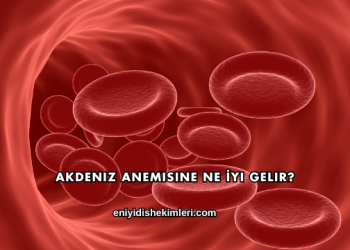 Akdeniz Anemisine Ne İyi Gelir?