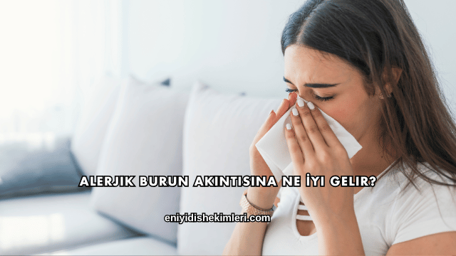 Alerjik Burun Akıntısına Ne İyi Gelir?