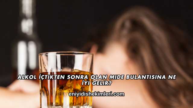 Alkol İçtikten Sonra Olan Mide Bulantısına Ne İyi Gelir?