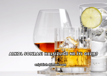 Alkol Sonrası Halsizliğe Ne İyi Gelir?