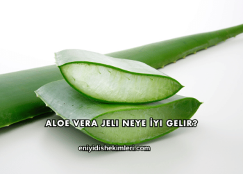Aloe Vera Jeli Neye İyi Gelir?