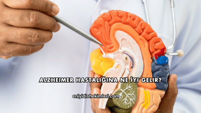 Alzheimer Hastalığına Ne İyi Gelir?