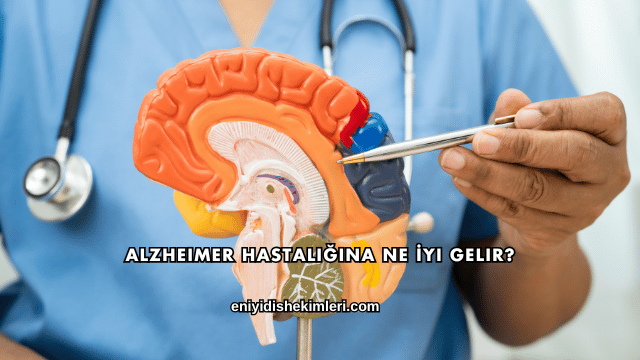 Alzheimer Hastalığına Ne İyi Gelir?