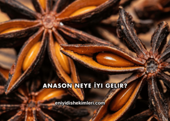Anason Neye İyi Gelir?