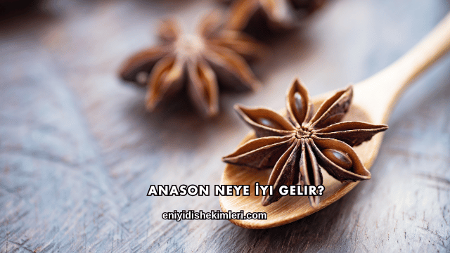 Anason Neye İyi Gelir?